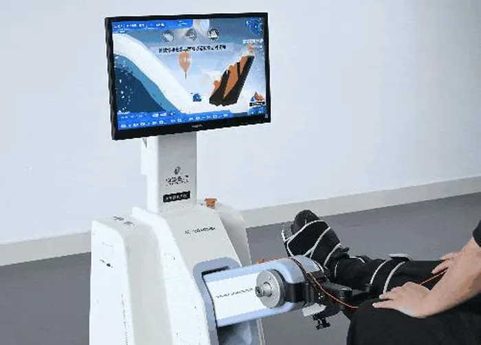 AnkPower Ankle Rehabilitation Training Device